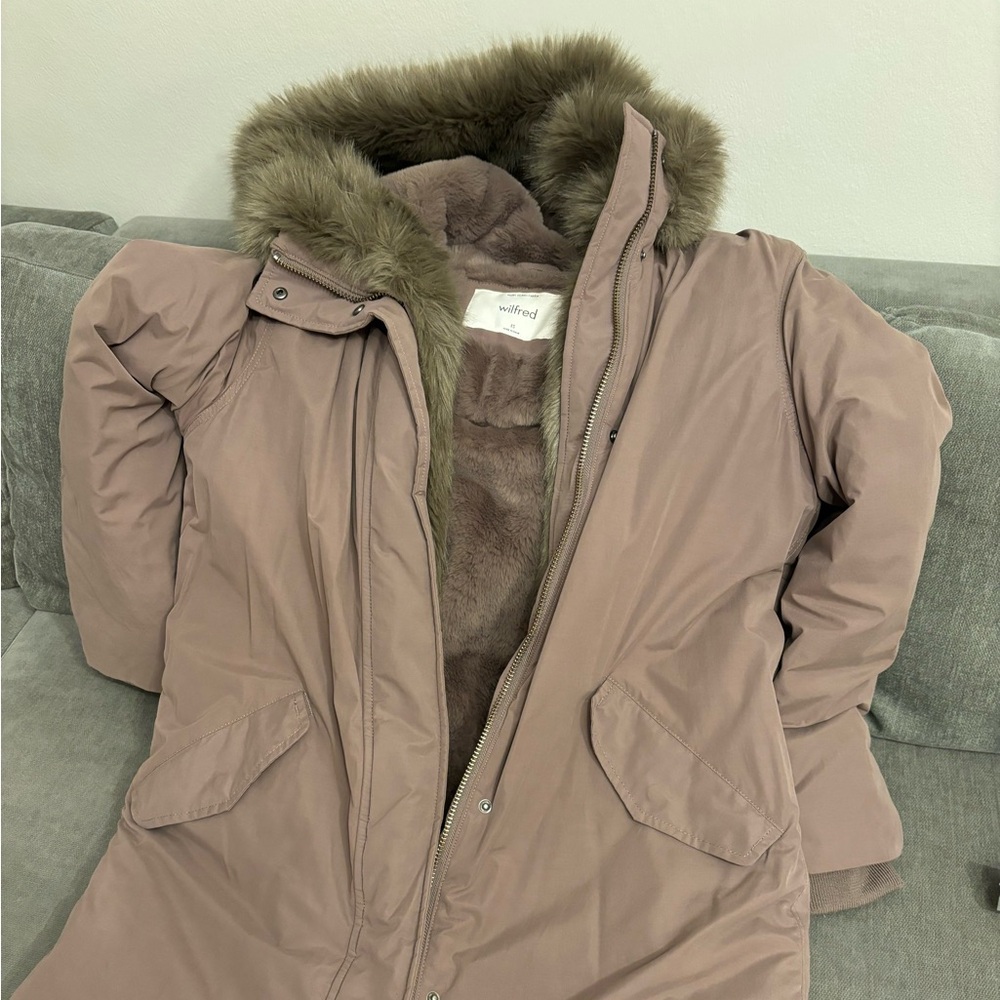 Aritzia Mont Blanc Parka